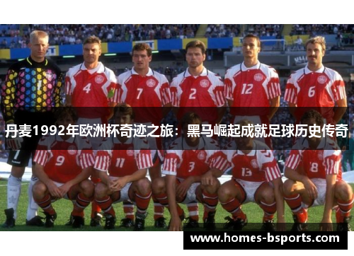 丹麦1992年欧洲杯奇迹之旅：黑马崛起成就足球历史传奇