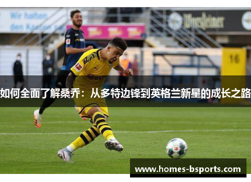 如何全面了解桑乔：从多特边锋到英格兰新星的成长之路