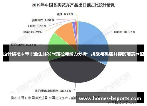 拉什福德未来职业生涯发展路径与潜力分析：挑战与机遇并存的前景展望