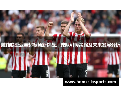 谢菲联重返英超赛场新挑战,球队引援策略及未来发展分析